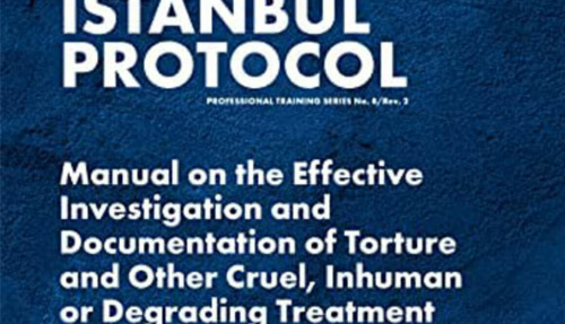 Istanbul-protocol