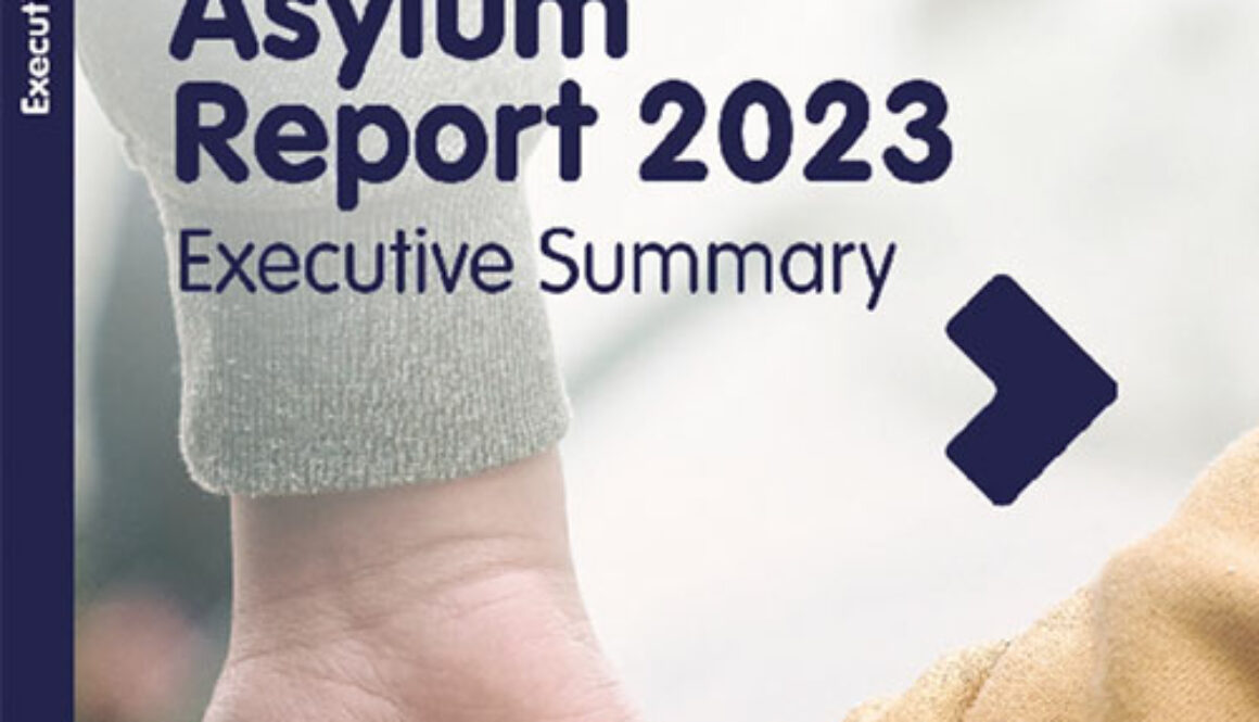 asylum-report-2023